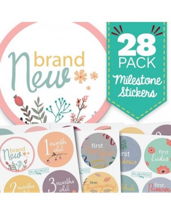 Baby Month Milestone Stickers milestones