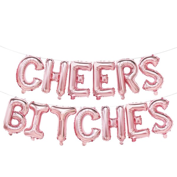 Cheers Bitches Hen Do Party Bunting Banner Garland Decoration