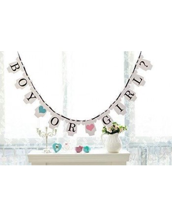 Gender Reveal Party Decorations Bunting