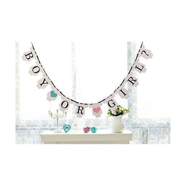 Gender Reveal Party Decorations Bunting