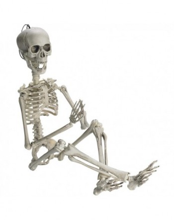 Prextex Halloween Skeleton Accessories Decoration