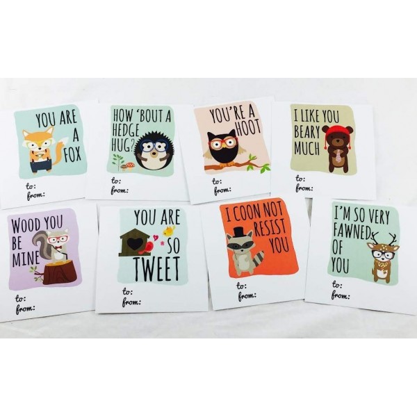 Woodland Friends Hipster Valentines Included