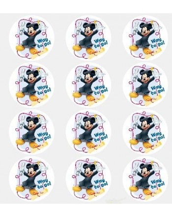 Twelve Graduation Cupcake Toppers Decorations
