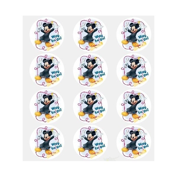 Twelve Graduation Cupcake Toppers Decorations