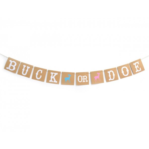 Qttier Banner Garland Pregnancy Announcement