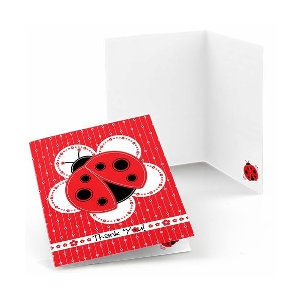 Big Dot Happiness Modern Ladybug