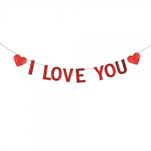 Valentines Proposal Courtship Anniversary Decorations Valentines Proposal Courtship Anniversary Decorations
