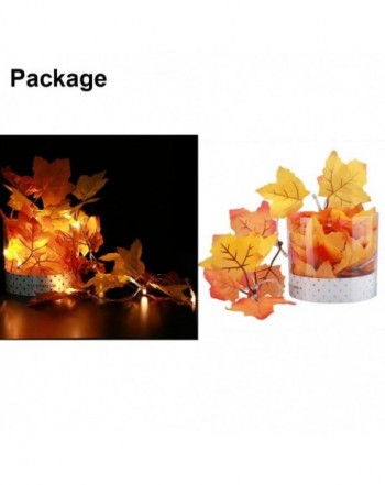 Most Popular Seasonal Lighting Outlet