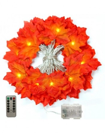 Most Popular Seasonal Lighting