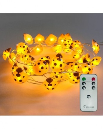 Hot deal Indoor String Lights On Sale