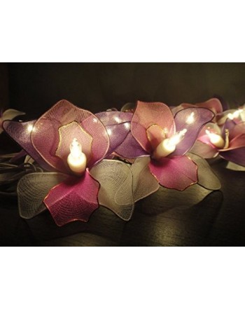 Trendy Indoor String Lights Outlet