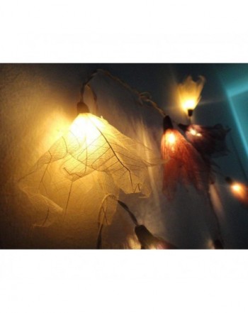 Indoor String Lights