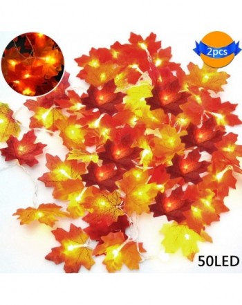 LOCOLO Thanksgiving Decorations Lighted Multicolor