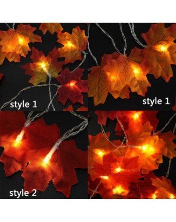 Hot deal Indoor String Lights