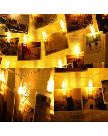 Seasonal Lighting Online