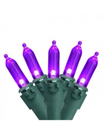 Northlight Purple 100 Bulb Christmas Lights