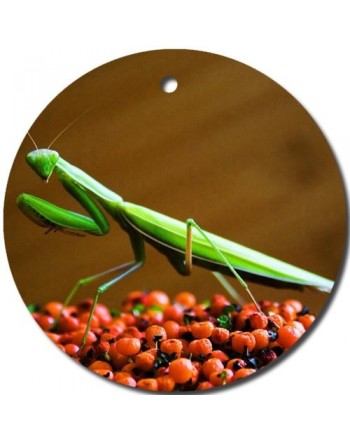 Praying Mantis Ornament porcelain Christmas