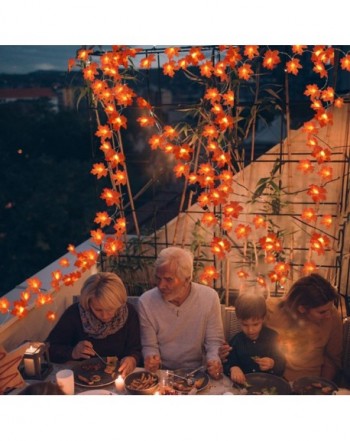 Brands Indoor String Lights