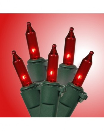 Trendy Seasonal Lighting Wholesale