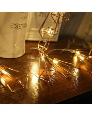 Brands Indoor String Lights