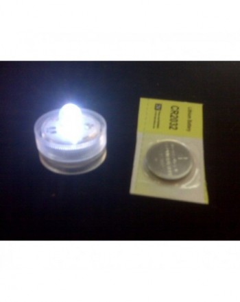 LED Lights Submersible Replacement Batteries