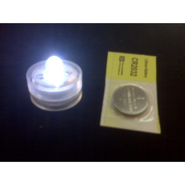 LED Lights Submersible Replacement Batteries