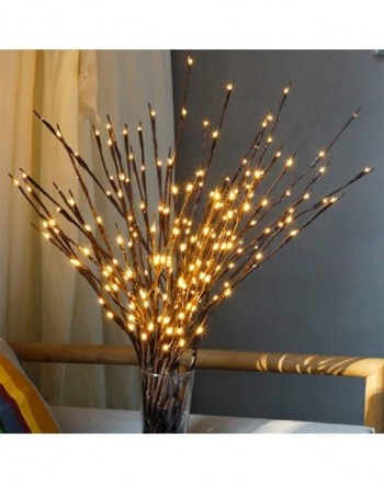 Hot deal Indoor String Lights