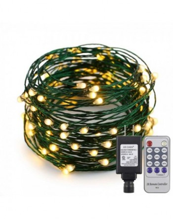 String Lights Starry Adapter Control
