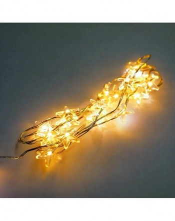 Most Popular Seasonal Lighting