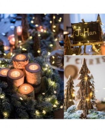 Designer Indoor String Lights Outlet Online