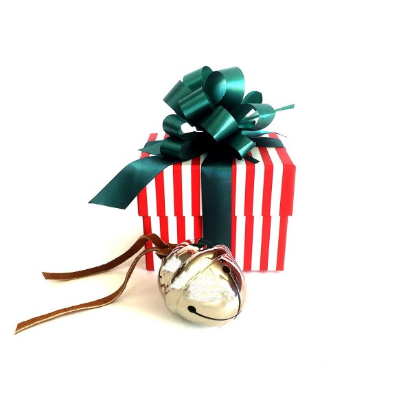 Polar Express Sleigh Bell gift