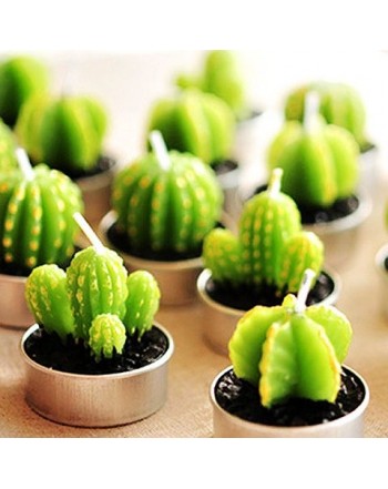 Assortment Succulent Scented Decoration Attached