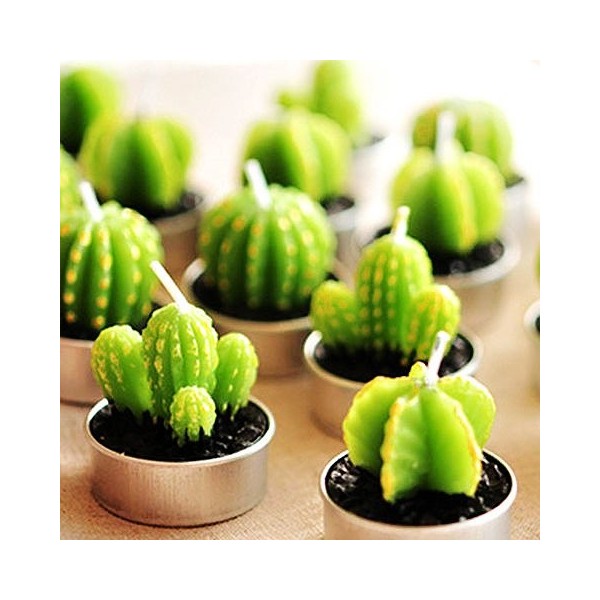 Assortment Succulent Scented Decoration Attached