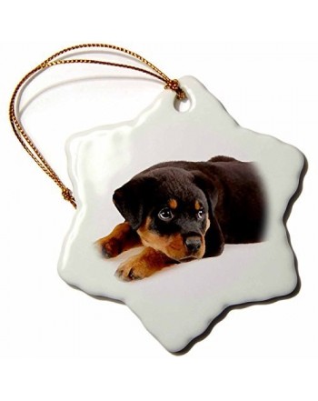 Wild Bramble Porcelain Decorative Rottweiler