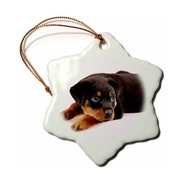 3-Inch Porcelain Snowflake Decorative Hanging Ornament - Rottweiler ...