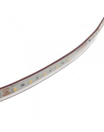 Seasonal Lighting Online Sale