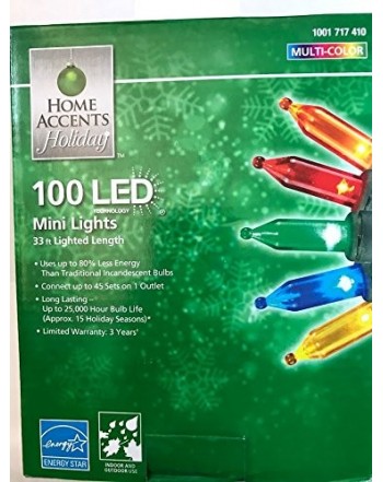 Home Accents Holiday 100 Light Multi Color