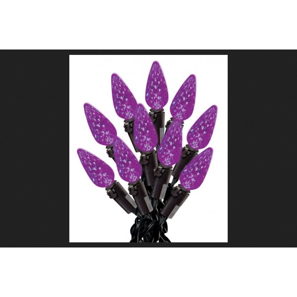 Sienna 16624N15 Halloween Light Purple