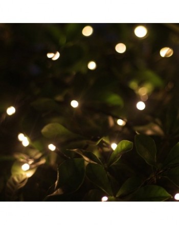 Hot deal Indoor String Lights On Sale