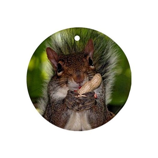 MYDply Squirrel Ornament porcelain Christmas