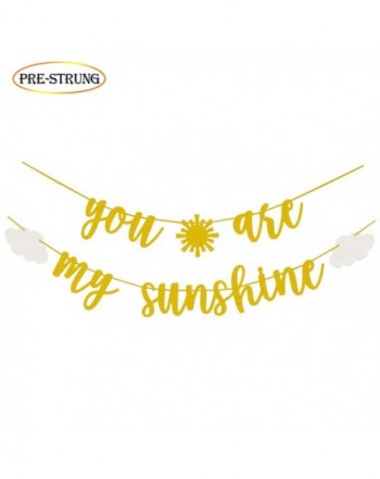 Sunshine Glitter Banner Birthday Decorations