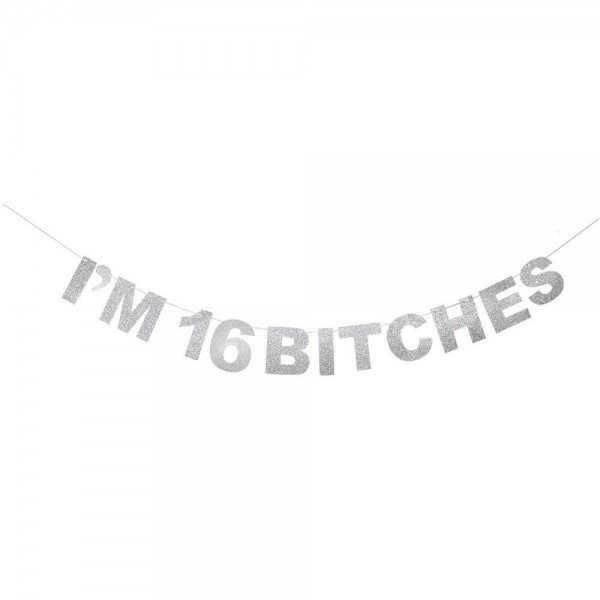 Bitches Banner Glitter Birthday Decoration Bitches Banner Glitter Birthday Decoration