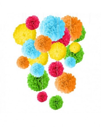 Tissue Paper Pom Decoration Centerpiece