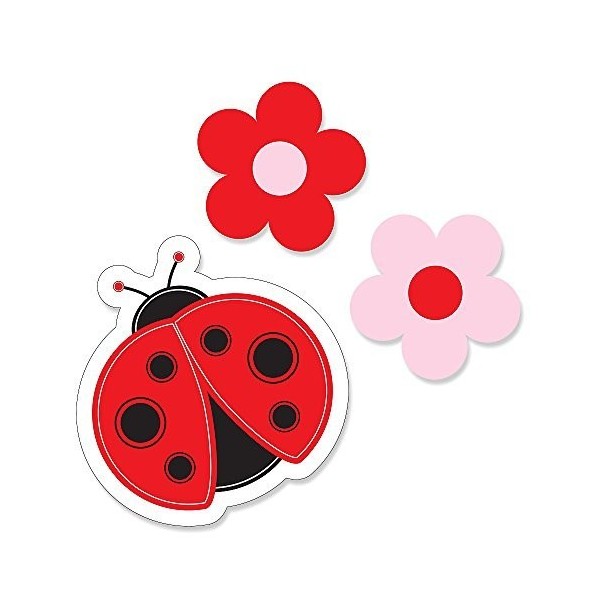 Big Dot Happiness Modern Ladybug