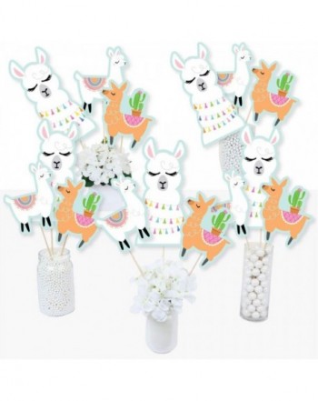 Whole Llama Fun Birthday Centerpiece